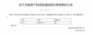 Read more about the article 深交所：将理想汽车-W(02015)调入深港通下的港股通股票名单 提供者 智通财经