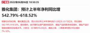 Read more about the article 单季净利刷新历史新高！锂矿龙头上半年净利最高预增超6倍，锂价下半年维持高位？ 提供者 财联社