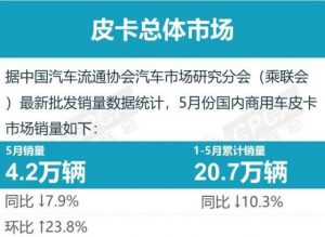 Read more about the article 乘联会：5月皮卡市场销售4.2万辆 同比下降7.9% 环比增长23.8% 提供者 智通财经