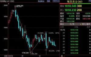 Read more about the article 国际金价下方支撑仍看到1798美元 提供者 FX678