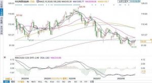 Read more about the article 油价仍有支撑！7月OPEC+原油日产量落后目标300万桶 比6月还糟 提供者 FX678