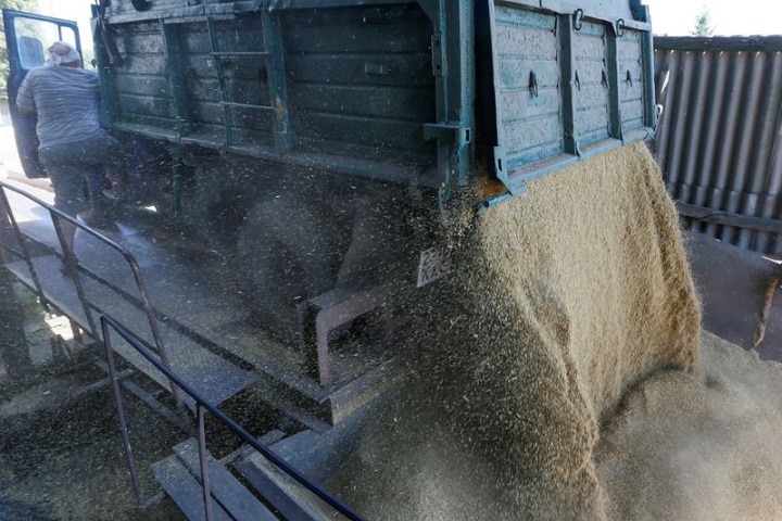 美国小麦价格创10周新低 乌克兰局势再度传出好消息