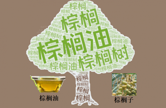 马棕榈油扩大跌幅，料将录得三周以来首次周线下跌