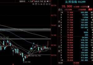 Read more about the article 内地游客持续涌入，友邦保险三季度新业务价值增长创历史新高，市场预计四季度仍将强劲 提供者 财联社