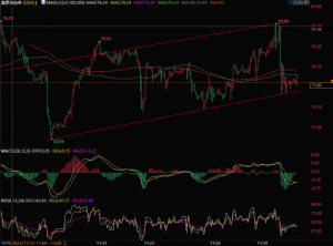 Read more about the article 原油技术分析：WTI原油可能面临更大下行压力 提供者 FX678