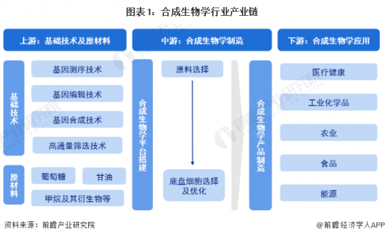 2023年中国合成生物学产业链及价值链分析 产业链上游附加值较高【组图】