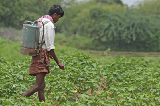 印度年轻人涌进农村：进厂不如种田，“印度制造”能靠谁？