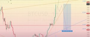 Read more about the article BTC/USD 審查 11.03-15.03.2024
